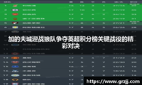 加的夫城迎战狼队争夺英超积分榜关键战役的精彩对决